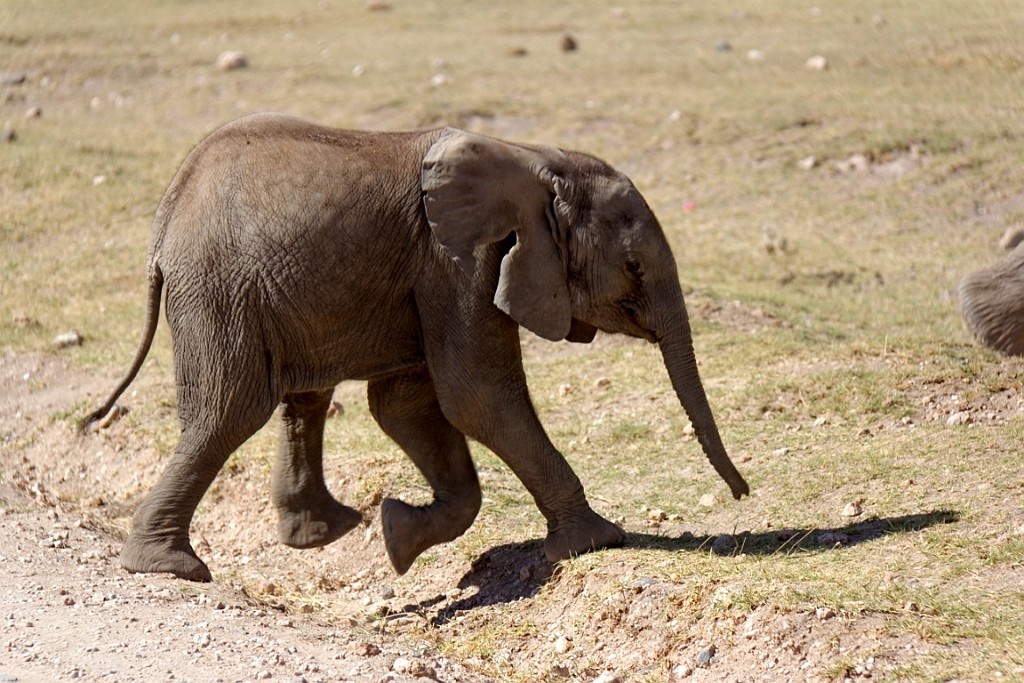 Kenia (144).jpg